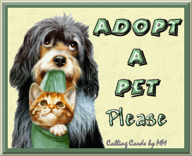 Adopt a Pet Please